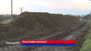 Stará láska nerezaví