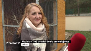 Útulek v Troji otevřel dveře pro veřejnost