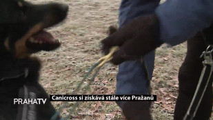 Canicross si získává stále více Pražanů