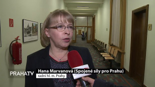 Radní Marvanová chce strážníkům zvýšit příplatky