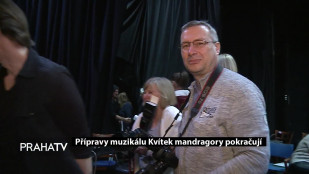 Přípravy muzikálu Kvítek mandragory pokračují