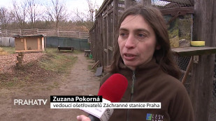 Novoroční ohňostroj v Praze budí emoce