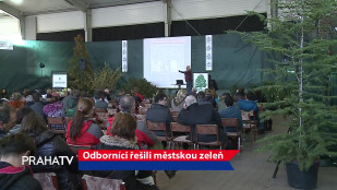 Odborníci řešili městskou zeleň
