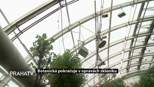 Botanická pokračuje v opravách skleníku