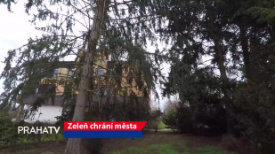 Zeleň chrání města