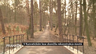 V Kunratickém lese skončila rekonstrukce mostů