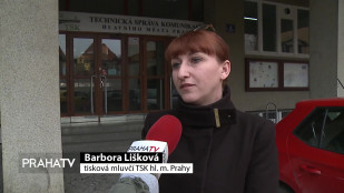 Vedení metropole chystá opravy mostů