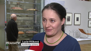 Výstava Krásná jizba ukazuje bytový design