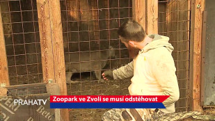 Zoopark ve Zvoli se musí odstěhovat