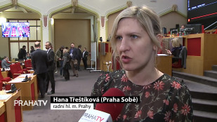 Město má nová pravidla pro umisťování umění