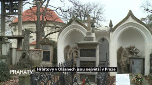 Hřbitovy v Olšanech jsou největší v Praze
