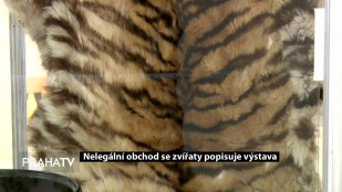 Nelegální obchod se zvířaty popisuje výstava