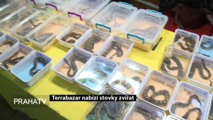 Terrabazar nabízí stovky zvířat