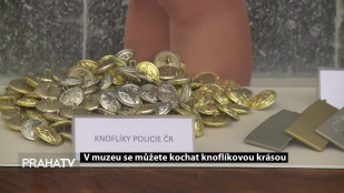 V muzeu se můžete kochat knoflíkovou krásou