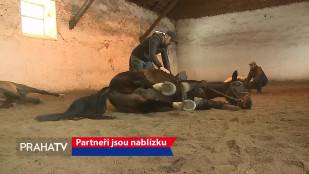 Partneři jsou nablízku