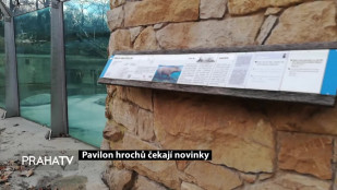 Pavilon hrochů čekají novinky