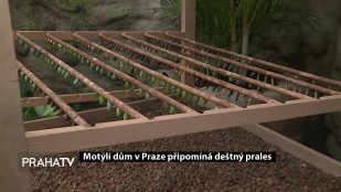 Motýlí dům v Praze připomíná deštný prales