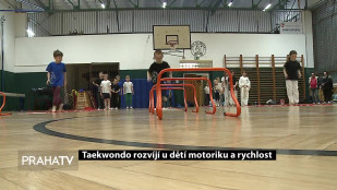 Taekwondo rozvíjí u dětí motoriku a rychlost