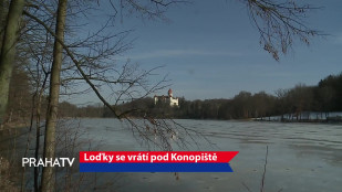 Loďky se vrátí pod Konopiště