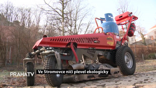 Ve Stromovce ničí plevel ekologicky