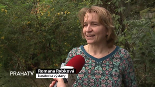 Botanická zahrada zahájila výstavu orchidejí