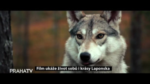 Film ukáže život sobů i krásy Laponska