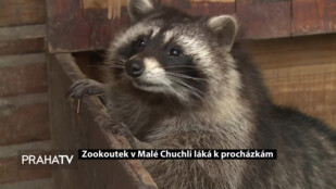 Zookoutek v Malé Chuchli láká k procházkám