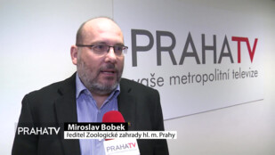 Zoo Praha zve na zahájení 88. sezóny