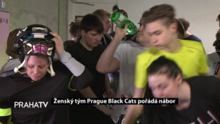 Ženský tým Prague Black Cats pořádá nábor