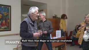 Malíř Alois Alan Majer se inspiruje vinařstvím