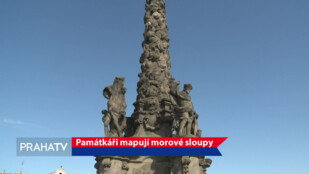 Památkáři mapují morové sloupy