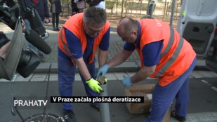 V Praze začala plošná deratizace