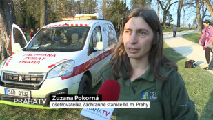 Záchranáři vypustili do Stromovky 70 netopýrů