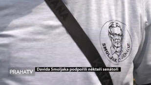 Davida Smoljaka podpořili někteří senátoři