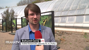 Botanickou zahradou lítají motýli