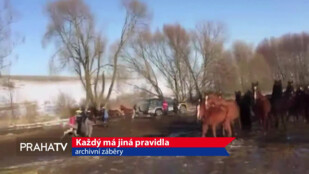 Každý má jiná pravidla