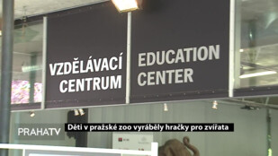 Děti v pražské ZOO vyráběly hračky pro zvířata