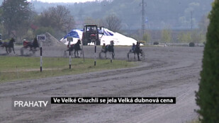 Ve Velké Chuchli se jela Velká dubnová cena