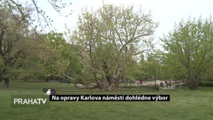 Na opravy Karlova náměstí dohlédne výbor