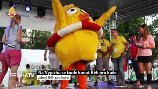 Na Vypichu se bude konat Běh pro kuře