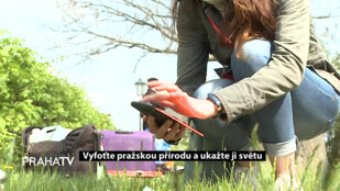 Vyfoťte pražskou přírodu a ukažte ji světu