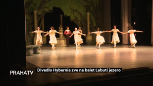 Divadlo Hybernia zve na balet Labutí jezero