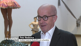 V Rudolfinu uvidíte současné figurální sochy