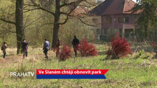 Ve Slaném chtějí obnovit park