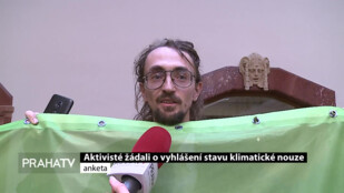 Aktivisté žádali o vyhlášení stavu klimatické nouze