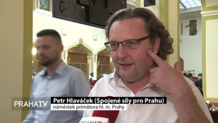 Portál 