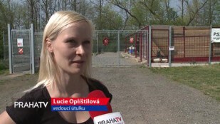 Útulek Dobříš funguje přes 20 let