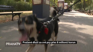 Pražané dluží za své psy přes 8 milionů korun