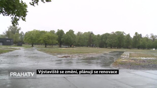 Výstaviště se změní, plánují se renovace