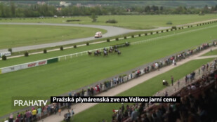 Pražská plynárenská zve na Velkou jarní cenu